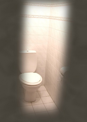 В туалете - Галерея № 1283523