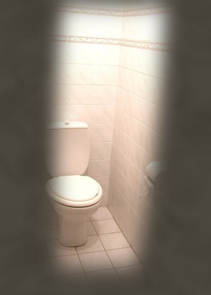 В туалете - Галерея № 1360034